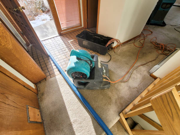 Best Ceiling water damage repair  in Turnersville, NJ