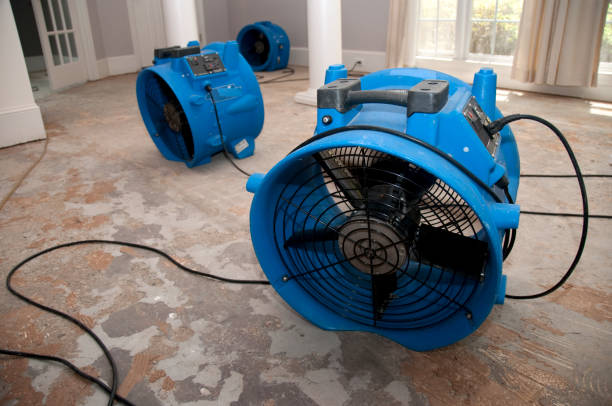Best Water damage restoration process  in Turnersville, NJ