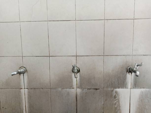 Best Professional water damage repair  in Turnersville, NJ