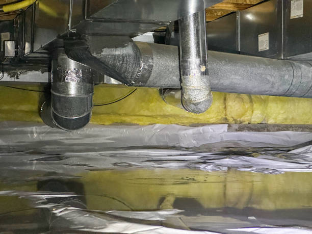 Best Water damage cleanup near me  in Turnersville, NJ