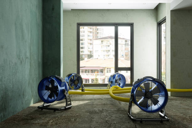 Best Carpet water damage restoration  in Turnersville, NJ